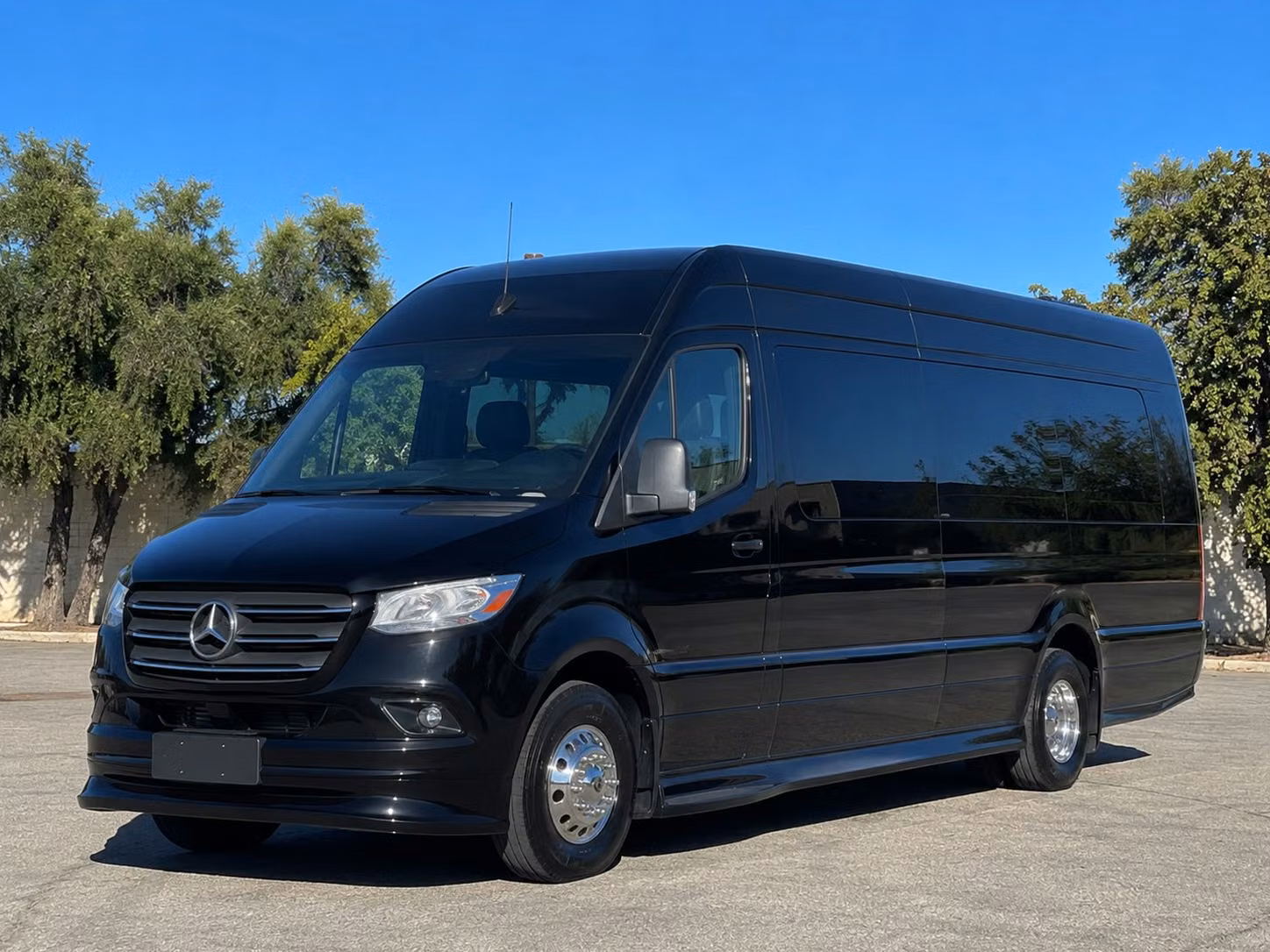 sprinter van with driver